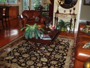 area-rug-cleaning-in-Tampa