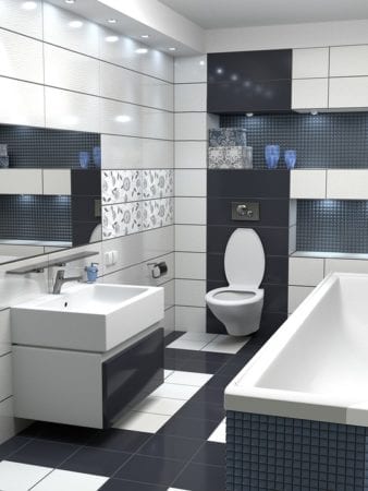 Black and white bathroom: design details
