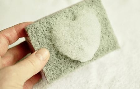 Household microbes: Kitchen Sponge, Board And Towel