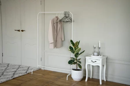Arranging a Stylish Entryway in a Small Apartment
