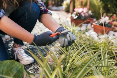 Landscaping Improvements For Your Home