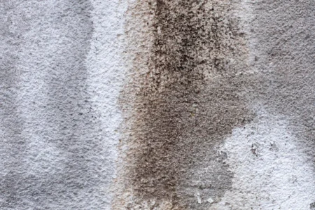 Conquering Carpet Stains: Your Ultimate Guide to Spot Removal